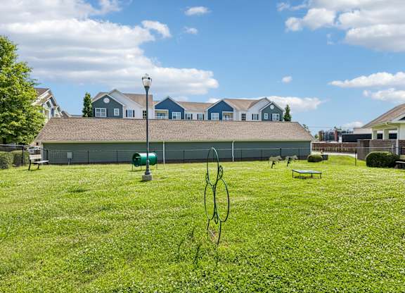 Dog Park with Equipment
