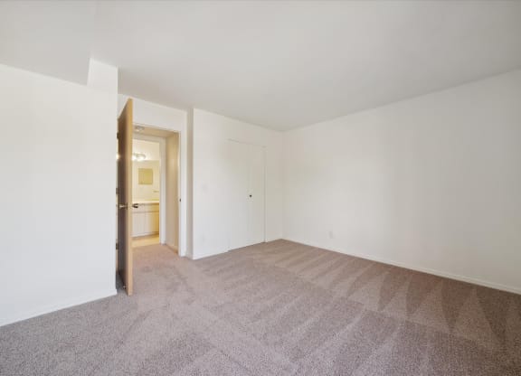 Bedroom with Plush Carpeting