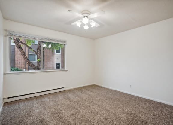 Bedroom with Plush Carpeting