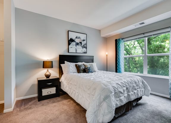 Carpeted Bedroom With Large Windows