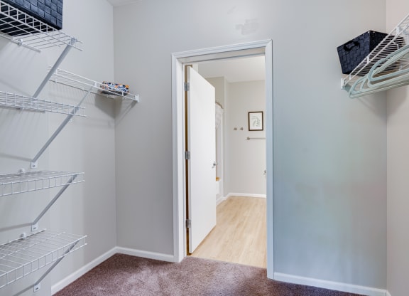 Carpeted Walk-In Closet