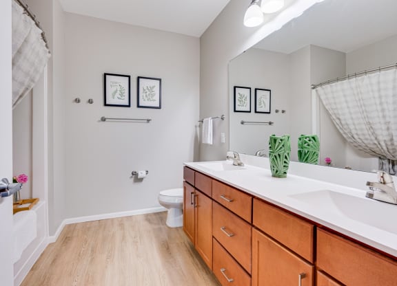 Large Bathroom Vanity