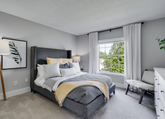 Carpeted Bedroom With Large Windows