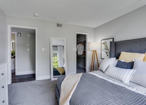 Carpeted Bedroom With Walk-In Closet