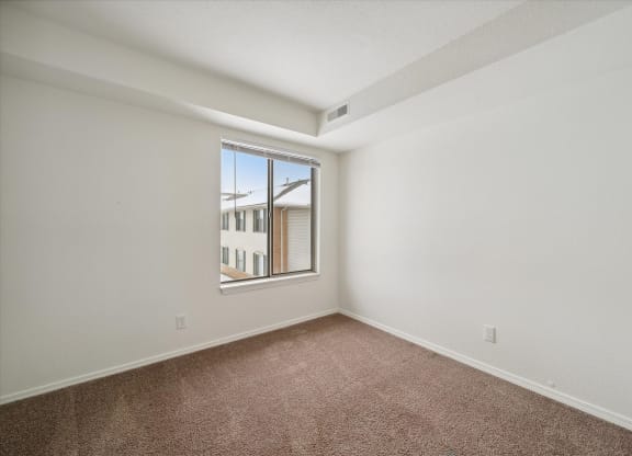 Bedroom with Plush Carpeting