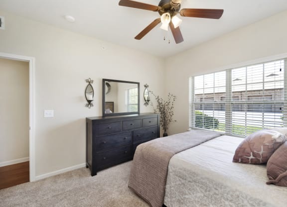 Bedroom with Plush Carpeting