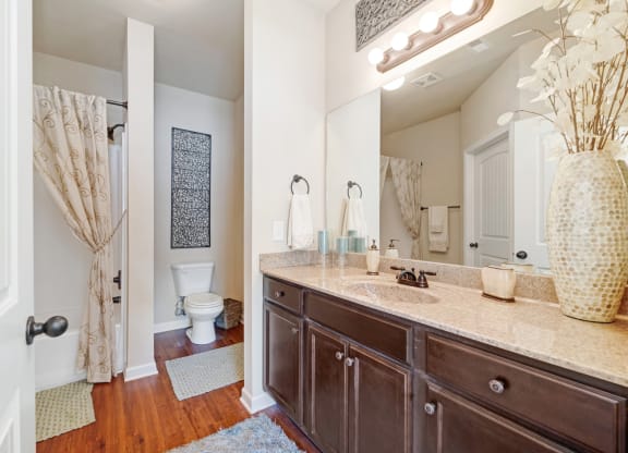 Bathroom With Granite Vanities