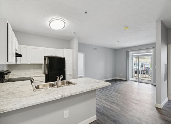Spacious Living Area With Wood-Style Flooring