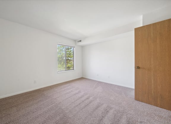 Bedroom with Plush Carpeting