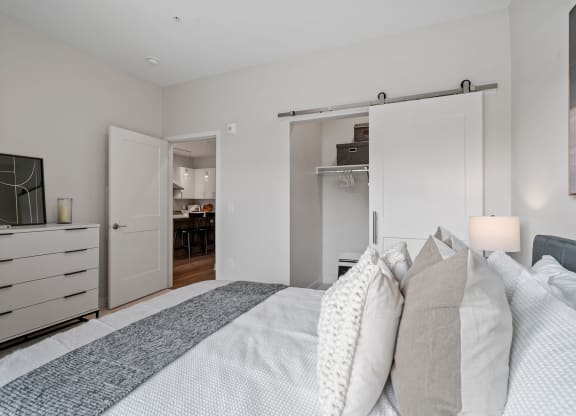 Bedroom Feautring Walk-In Closet With A Sliding Barn Door
