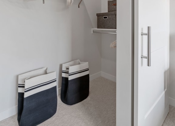 Walk-In Closet With Sliding Barn Door
