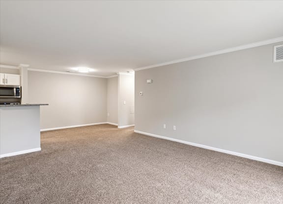 Spacious Living Area with Carpet