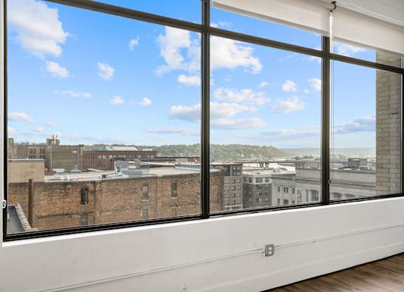 Large Windows