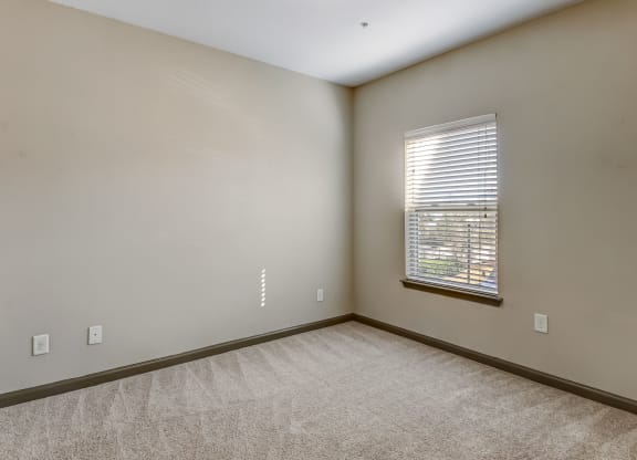 Spacious Bedroom with Plush Carpeting