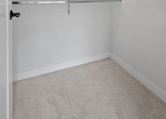 Walk-In Closet With Built-In Shelving