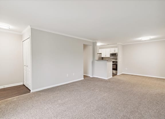 Spacious Living Area with Carpet