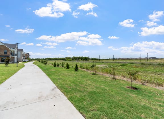 Walking Paths