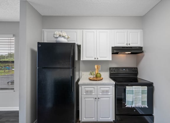 Kitchen with Black Appliances