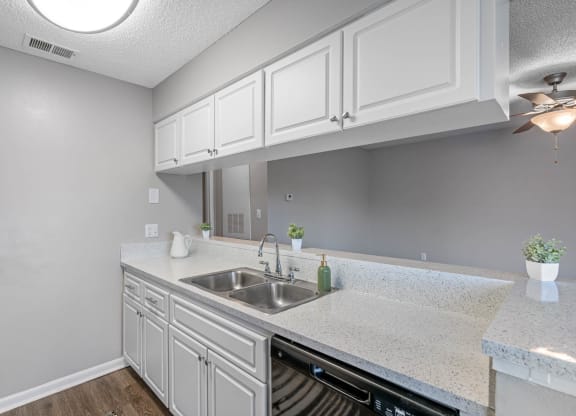 Kitchen with White Cabinetry