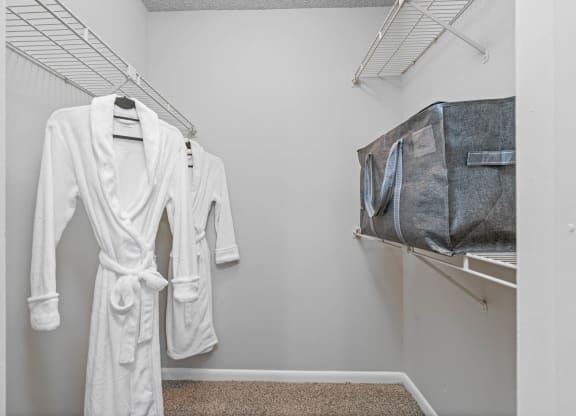 Walk-In Closet With Built-In Shelving