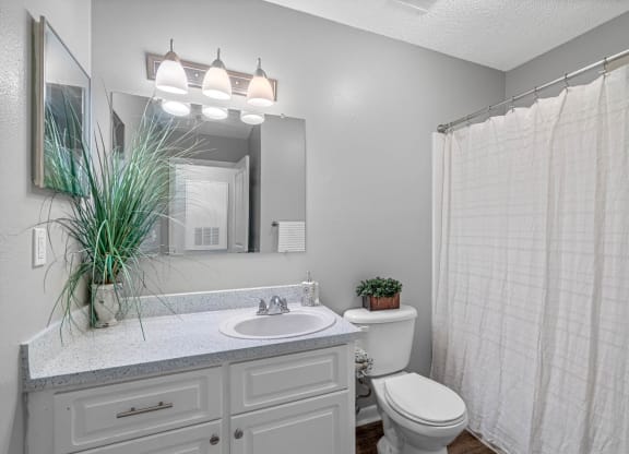 Bathroom with White Cabinets