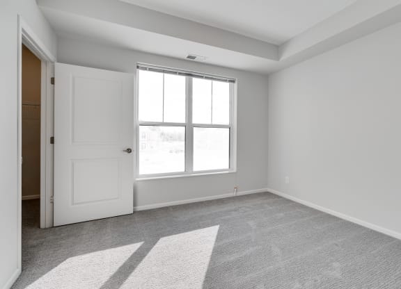 Bedroom With Large Windows & Attached Walk-In Closet