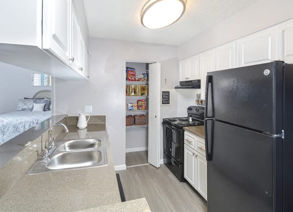 Fully-Equipped Kitchens with Black Appliances