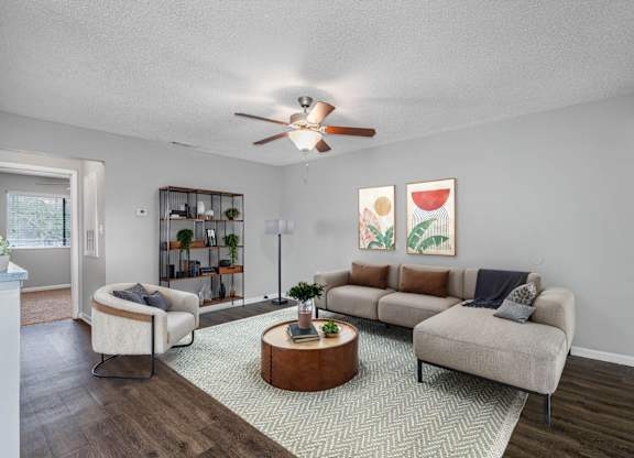 Spacious Living Area With Wood-Style Flooring