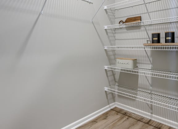 Walk-In Closet With Built-In Shelving