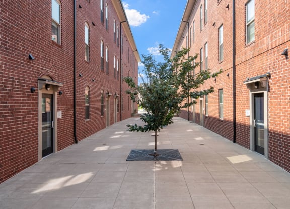 Walkway between Synergy Apartment Homes