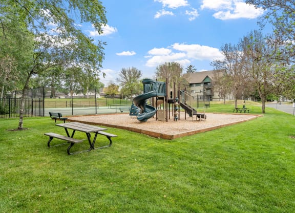 Playground Area