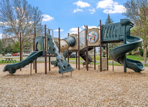 Playground Area