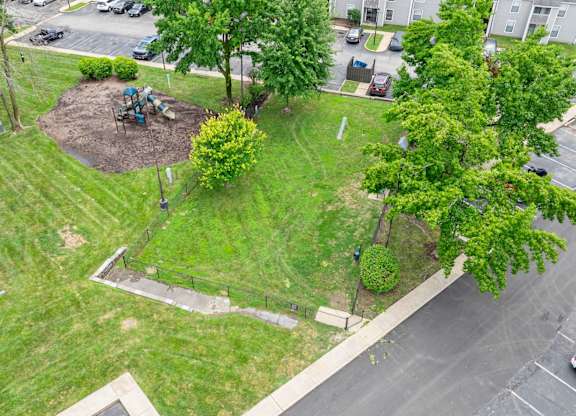 Aerial View of Dog Park