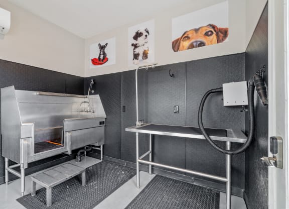 Pet Spa
