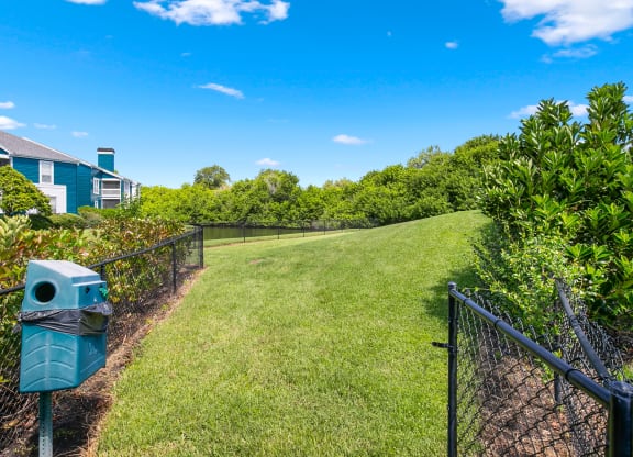 Lush 1 Acre Dog Park