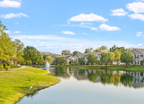 Community Lake