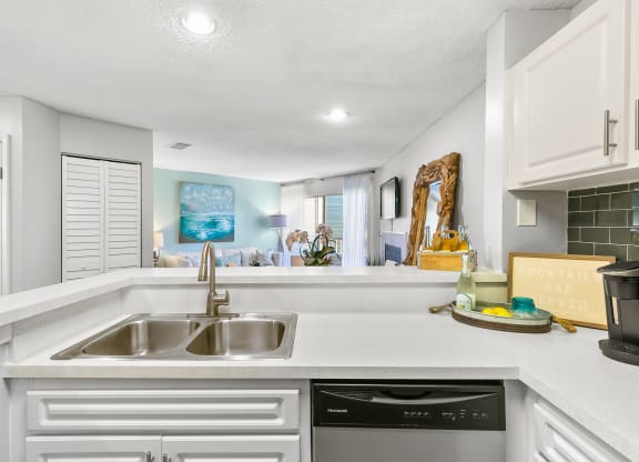 Stainless Steel Dishwasher