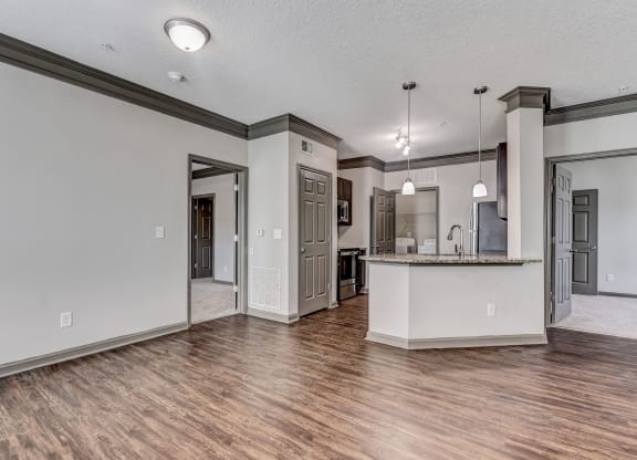 Open Concept Living With Wood-Style Floors