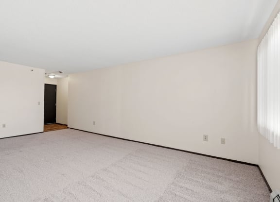 Living Room with Plush Carpeting