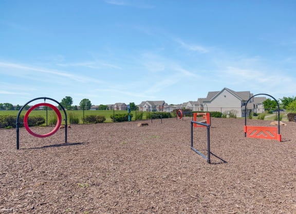 Expansive Dog Park With Obstacle Courses