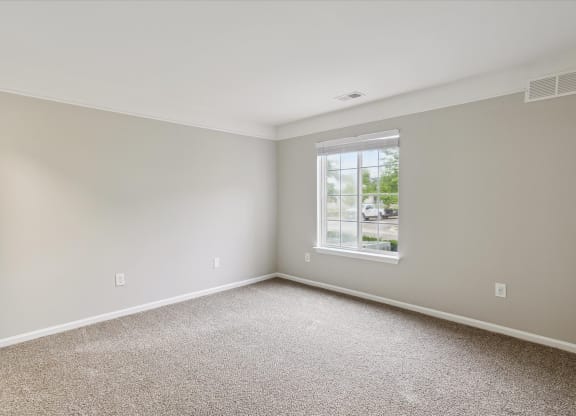 Spacious Bedroom with Plush Carpeting