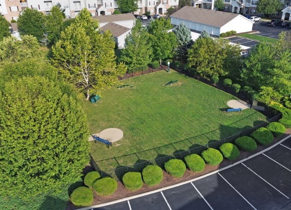 Aerial of Dog Park