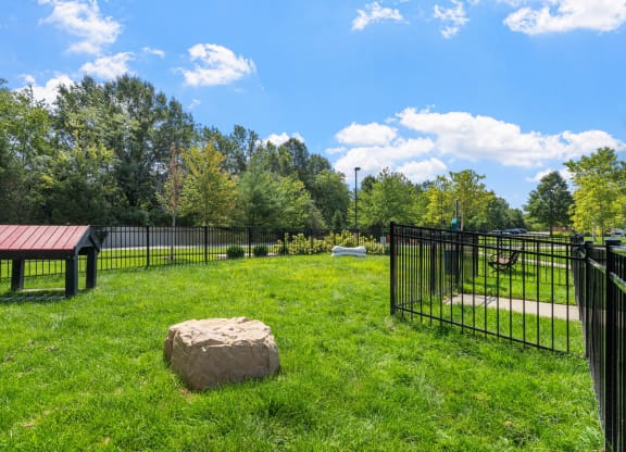 Dog Park
