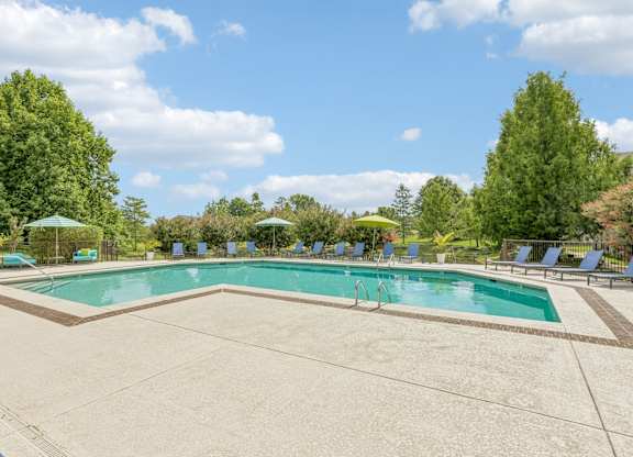 A large outdoor swimming pool surrounded by trees and lounge chairs.