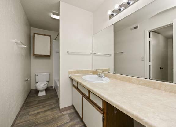 Bathroom with Large Vanity