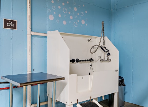 Pet Wash Station