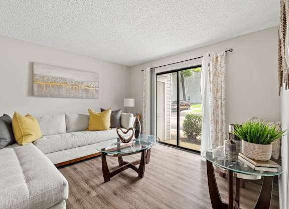 Spacious Living Area With Wood-Style Flooring