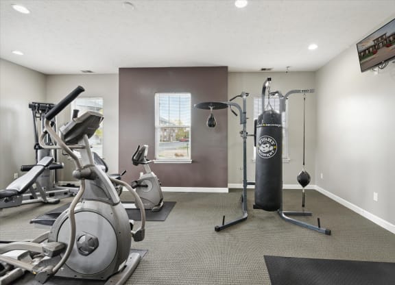 Fitness Center with Punching Bag