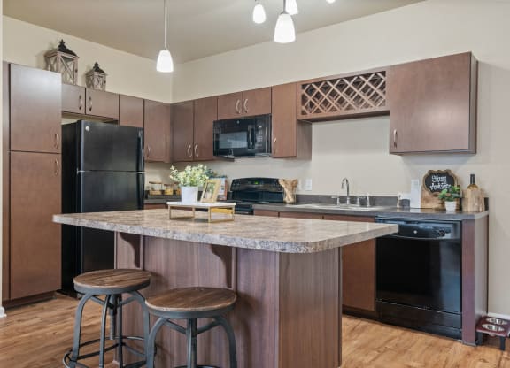 Kitchen with Black Appliances