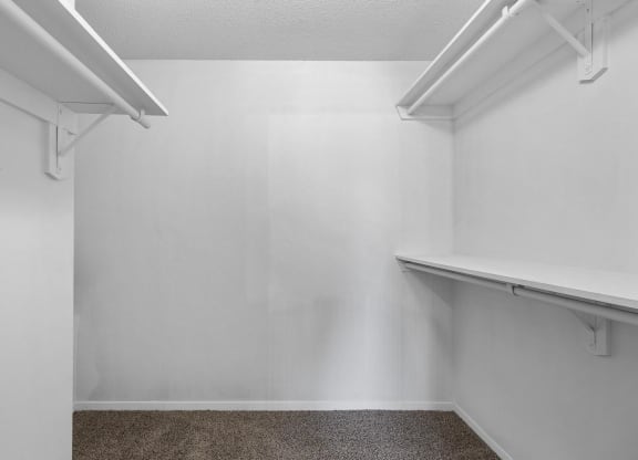 Walk-In Closet With Built-In Shelving